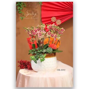 moth orchid - Tet Flowers