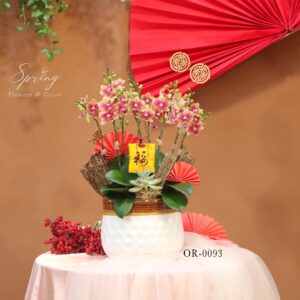Moth orchid - Tet flowers