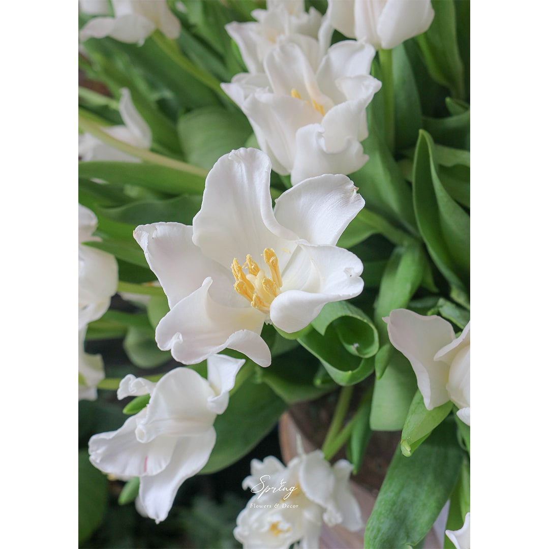 Flowers Design VS-0162 - Image 3