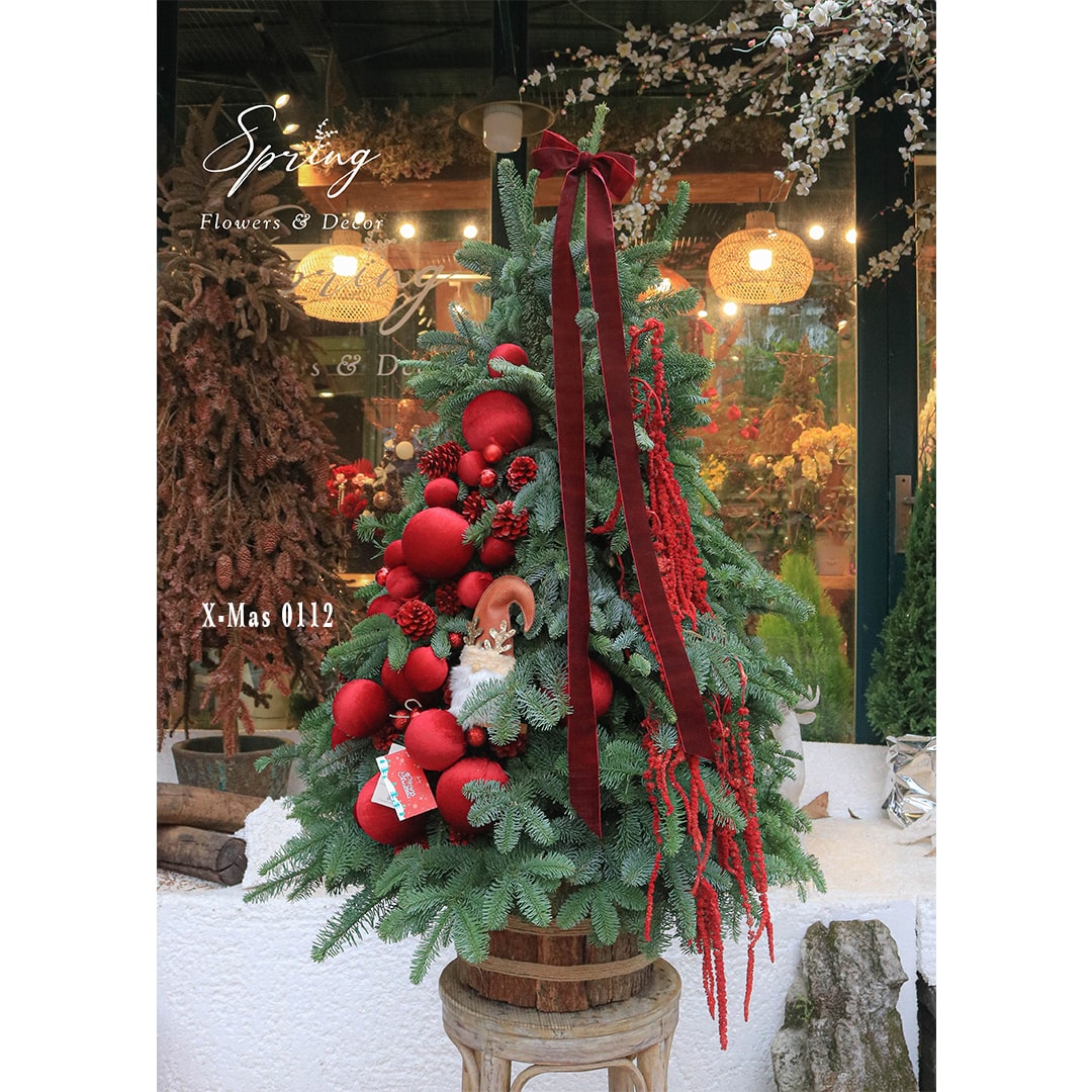 X-mas 0112