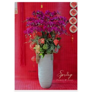 Lan hồ điệp tết OR-0908