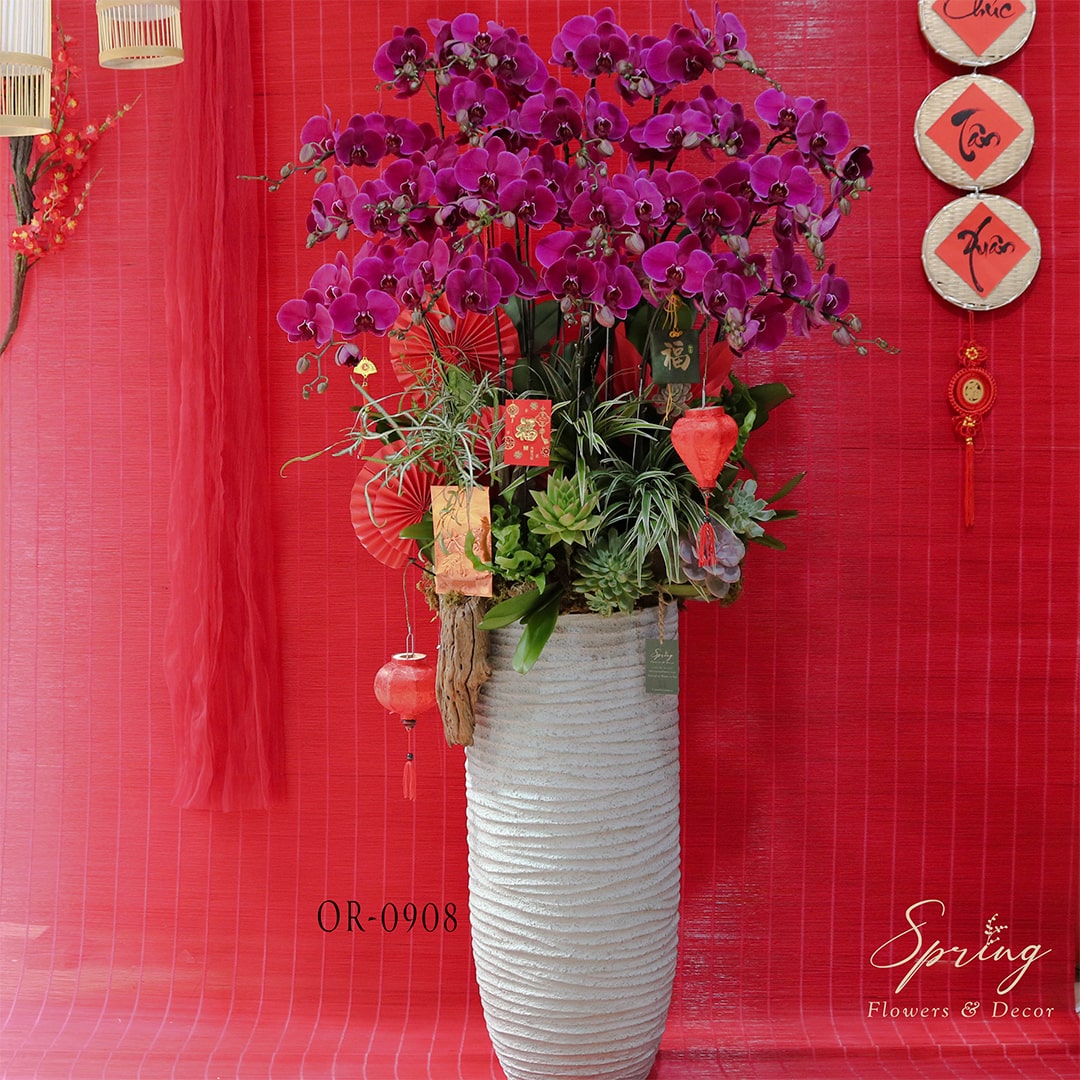 Orchid OR-0908 - Image 4