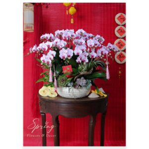 Orchid OR-0909