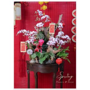 Orchid OR-0911