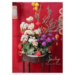 Orchid OR-0913