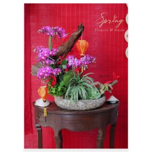 Lan Hồ Điệp Tết 2025 OR-0914