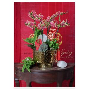 Lan Hồ Điệp Tết 2025 OR-0919