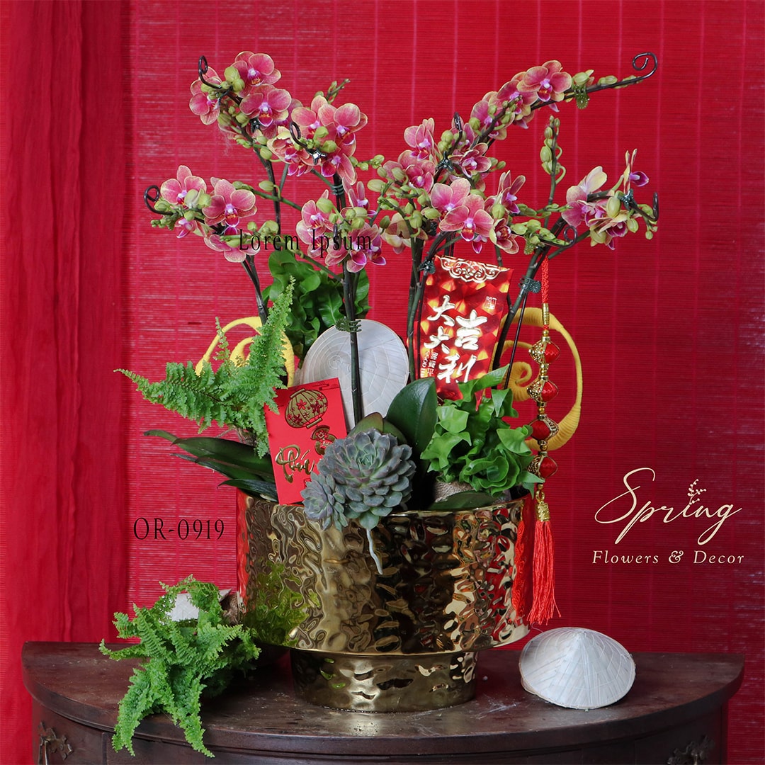 Orchid OR-0919 - Image 4