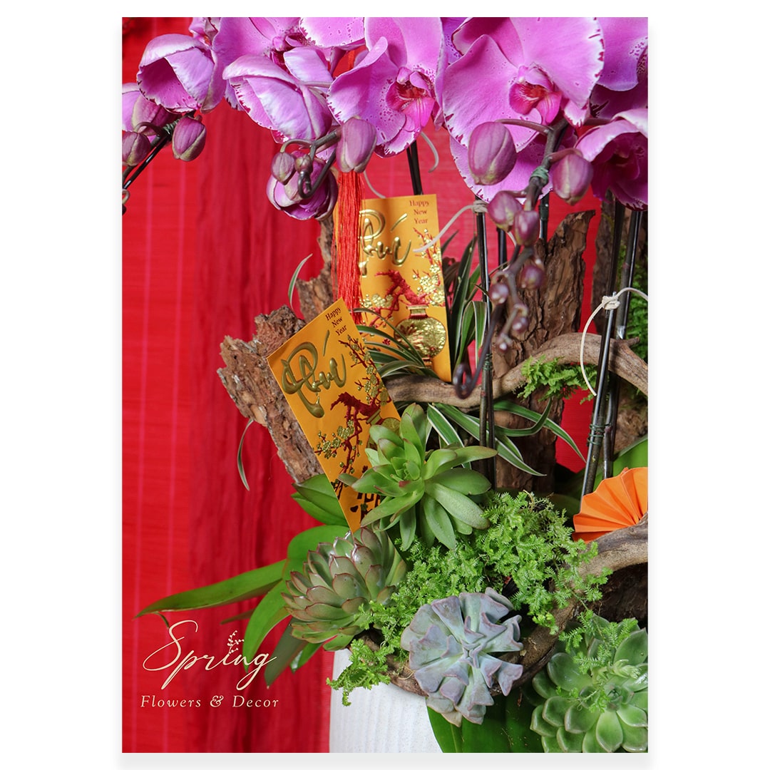 Orchid OR-0920 - Image 2
