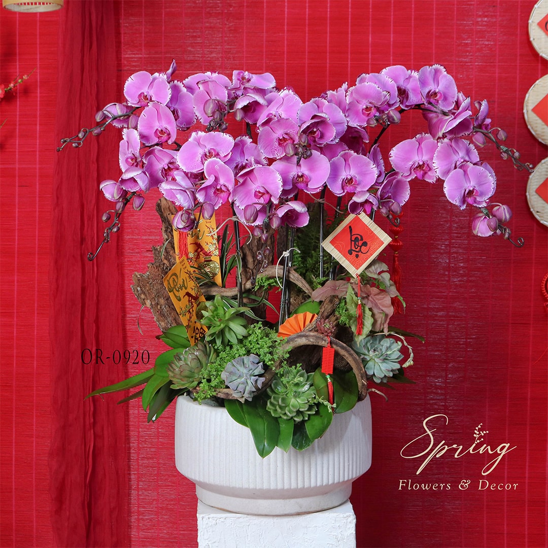 Orchid OR-0920 - Image 4