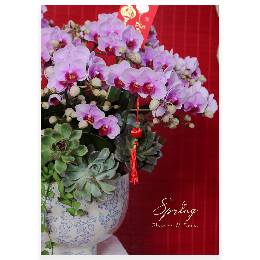 Orchid OR-0921 - Image 3