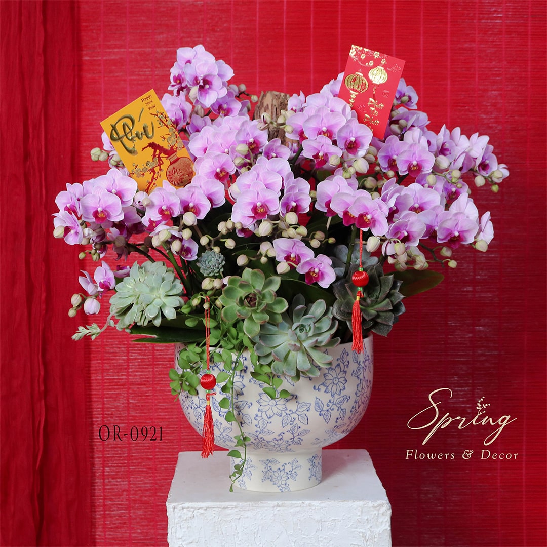 Orchid OR-0921 - Image 4