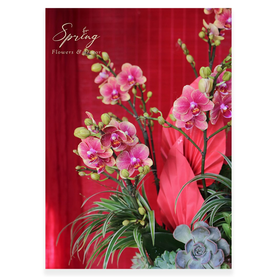 Orchid OR-0925 - Image 3