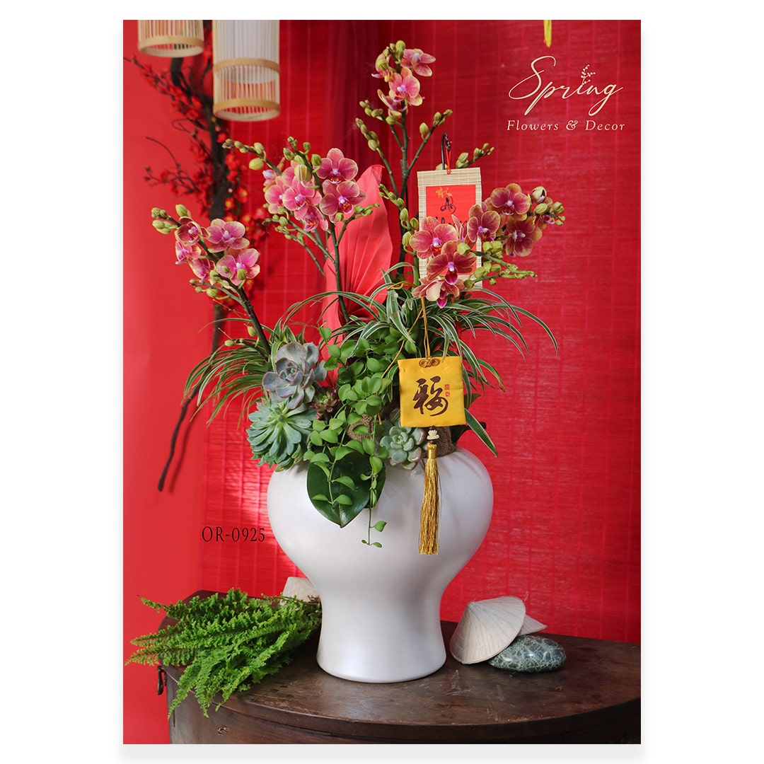 Orchid OR-0925 - Image 2
