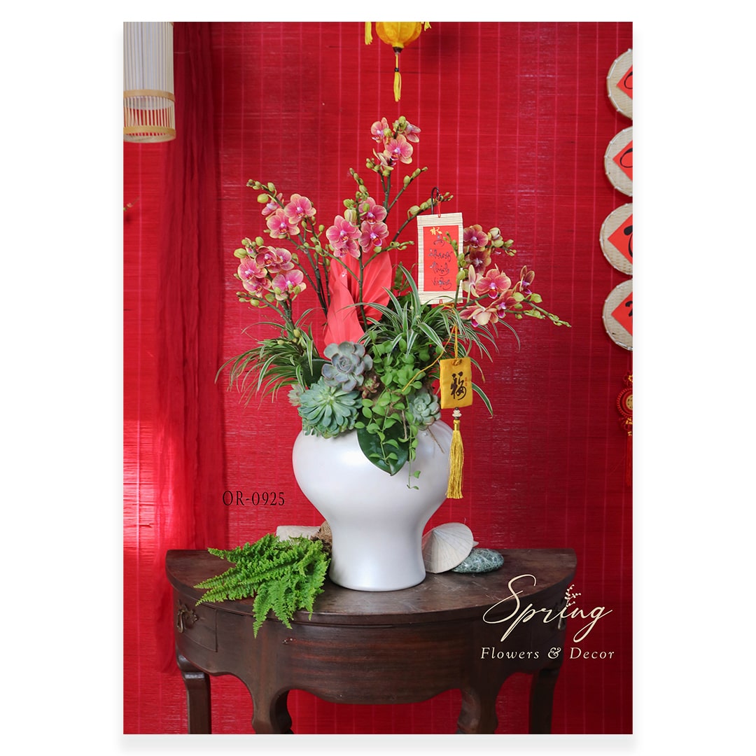 Lan Hồ Điệp Tết 2025 OR-0925