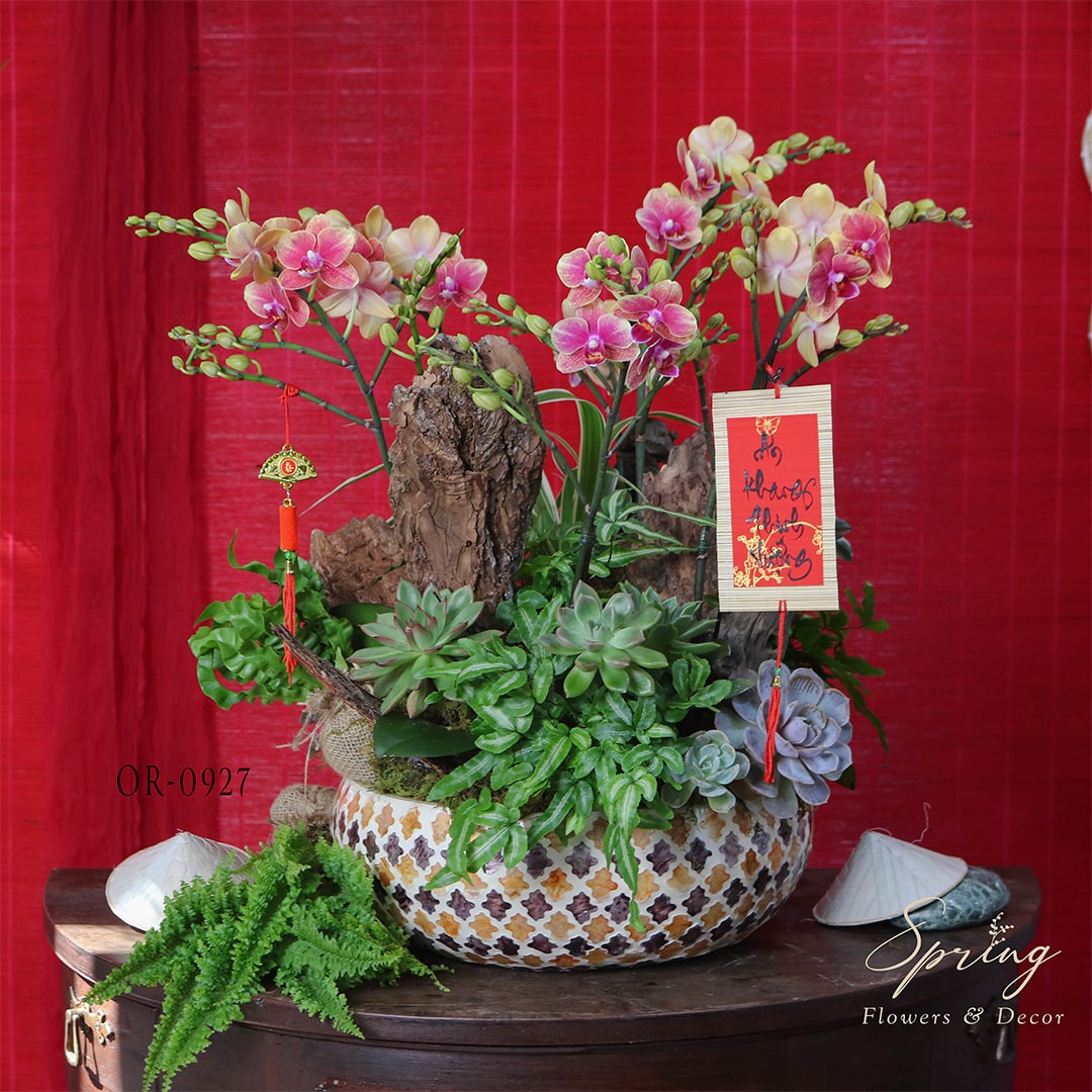 Orchid OR-0927 - Image 4