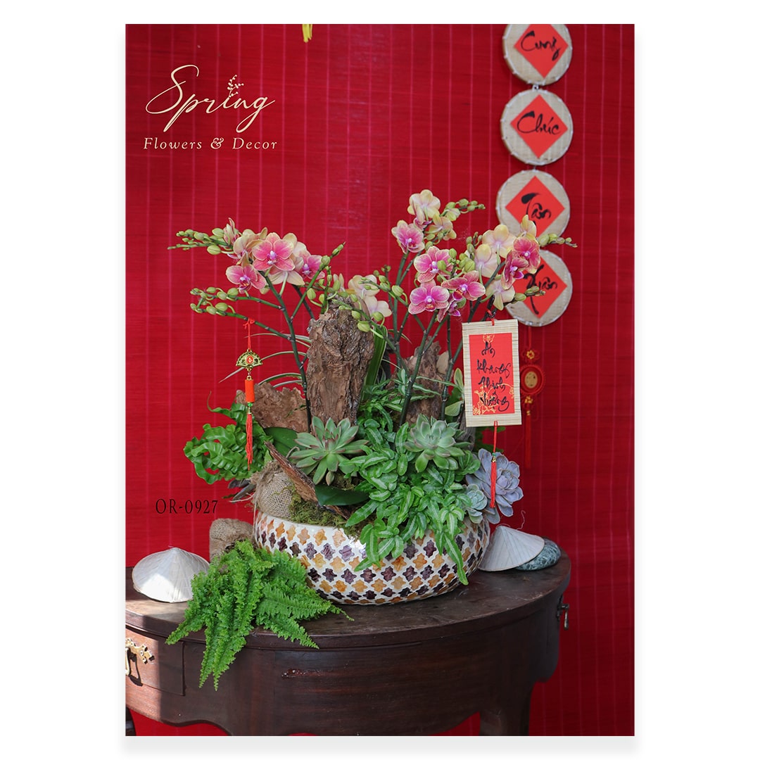 Orchid OR-0927 - Image 2