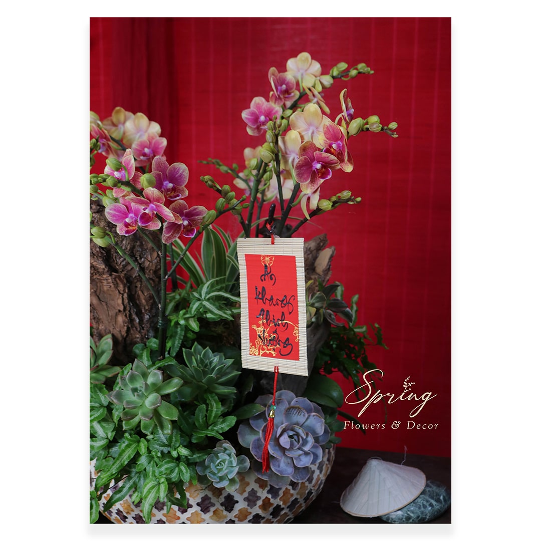 Orchid OR-0927 - Image 3