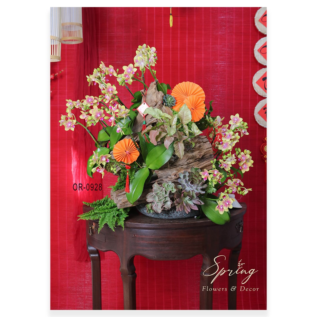 Lan Hồ Điệp Tết 2025 OR-0928