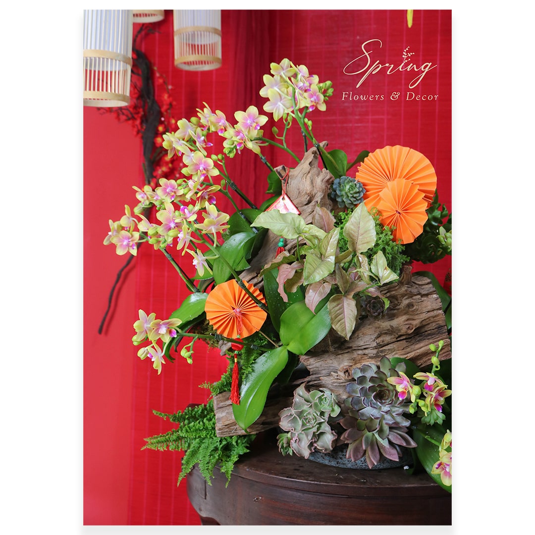 Orchid OR-0928 - Image 3