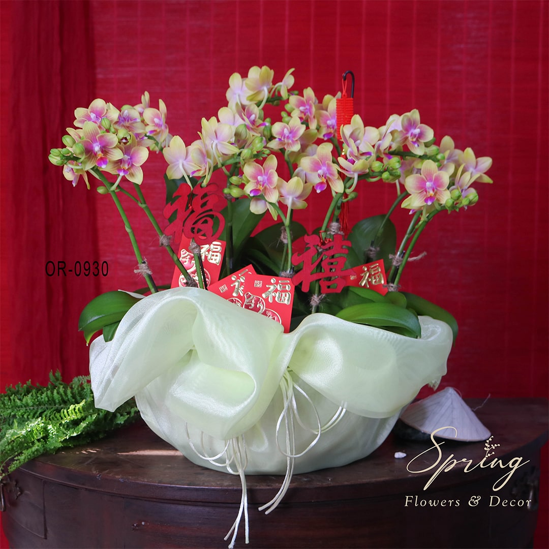 Orchid OR-0930 - Image 4