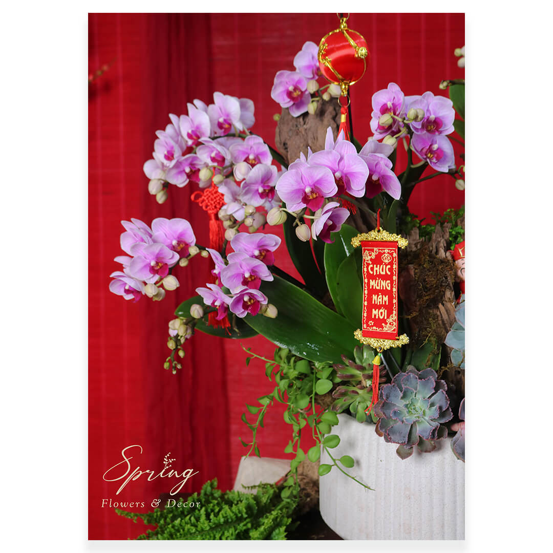 Orchid OR-0932 - Image 2