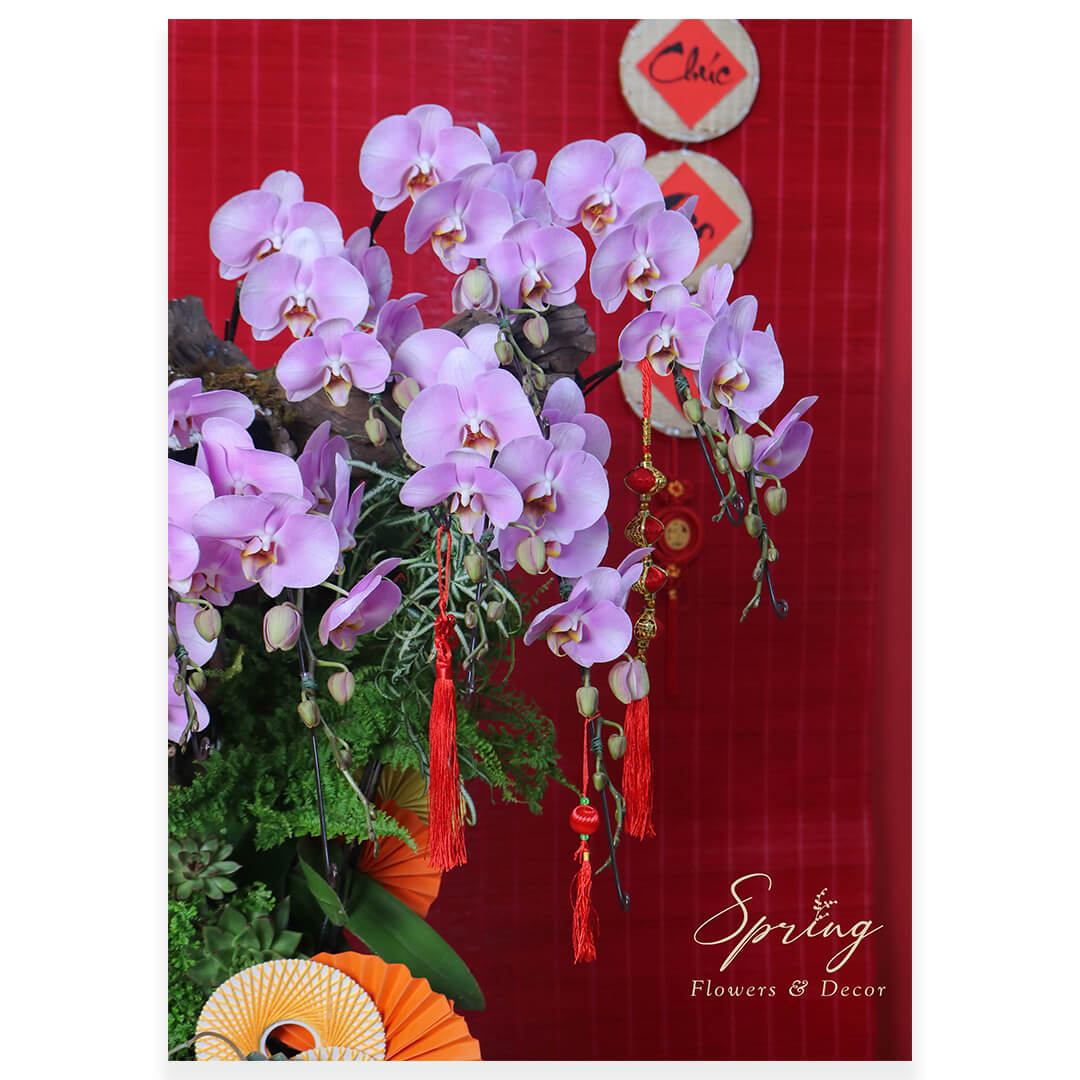 Orchid OR-0934 - Image 2
