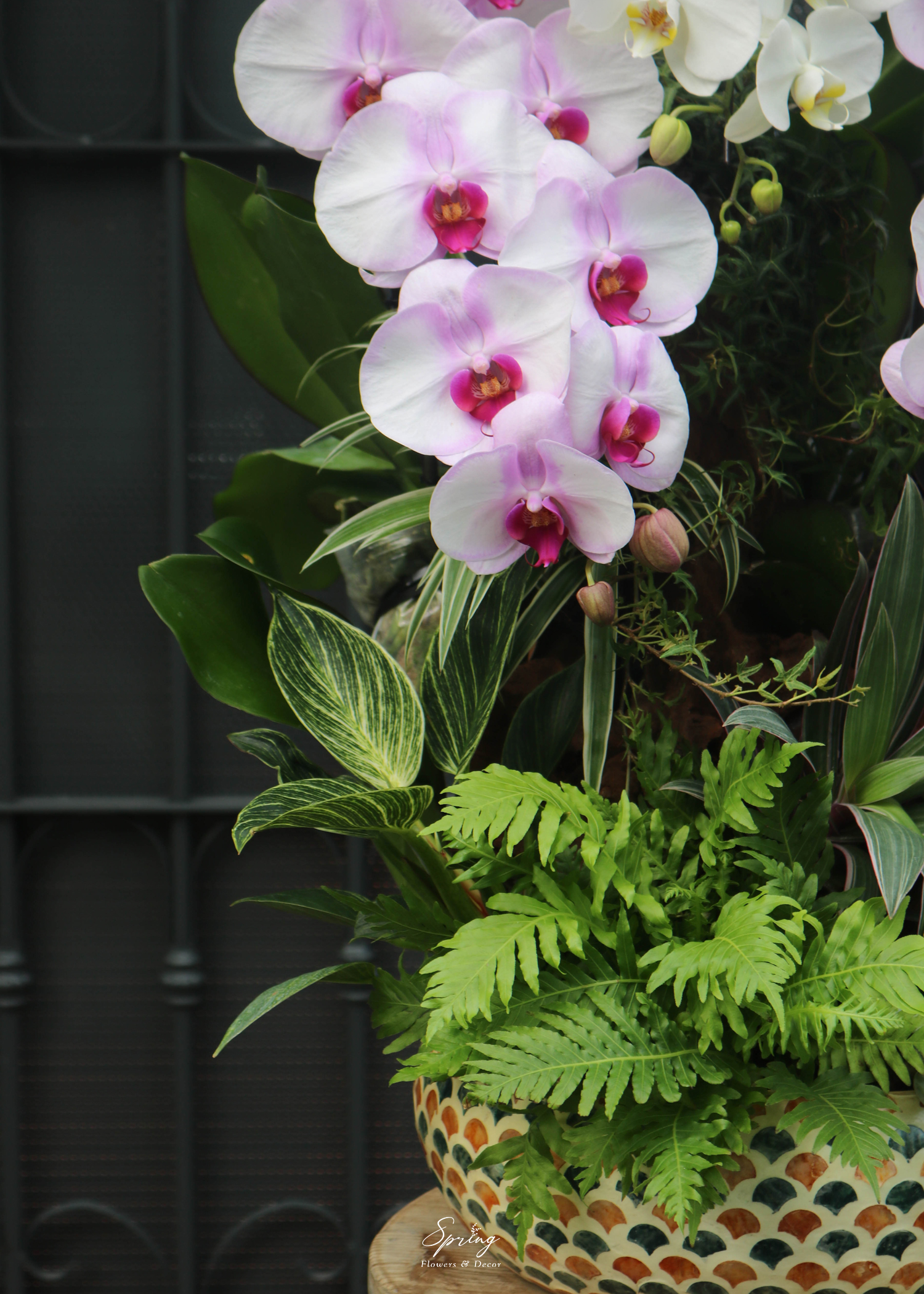 Hoa lan hồ điệp OR-0990 - Image 3