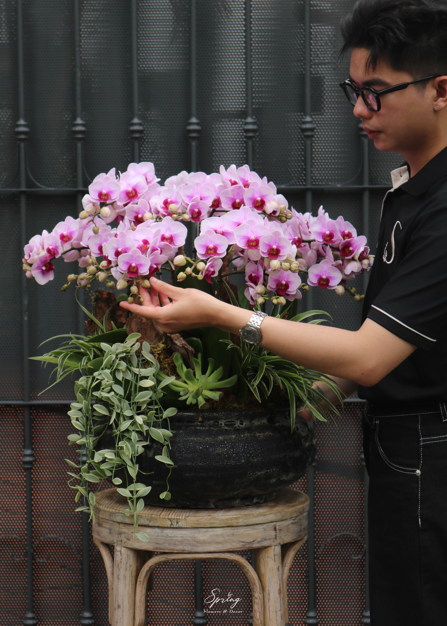 Hoa lan hồ điệp OR-0991 - Image 2