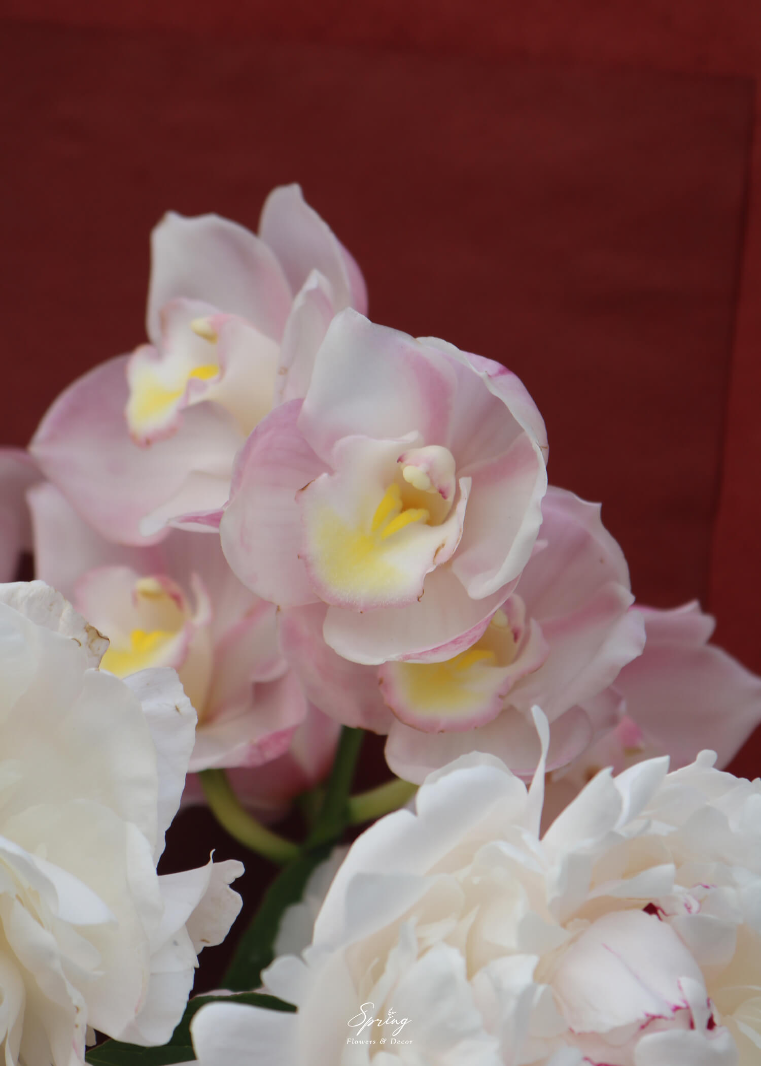 Bó hoa Peony BQ-0794 - Image 4