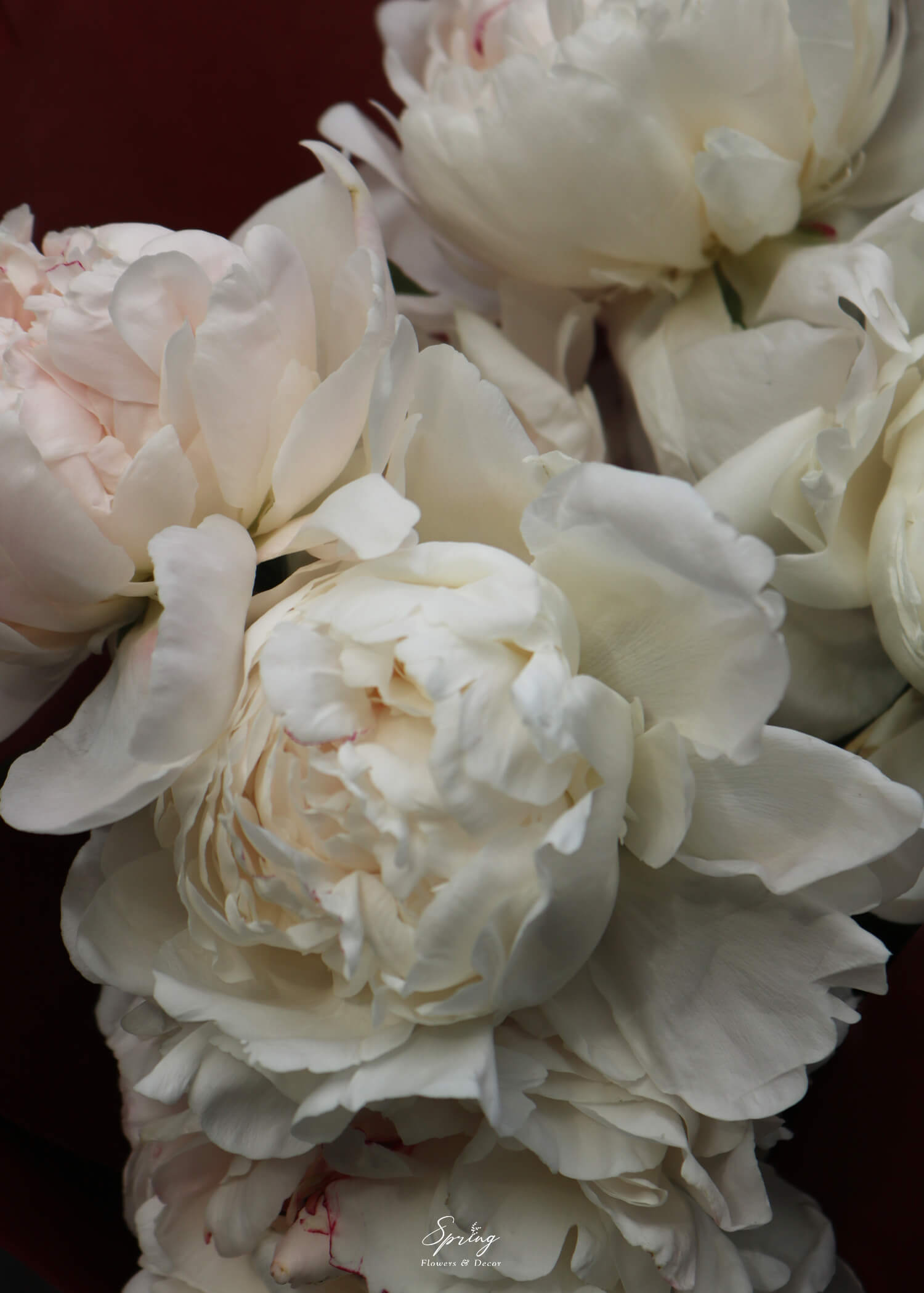 Bó hoa Peony BQ-0797 - Image 5
