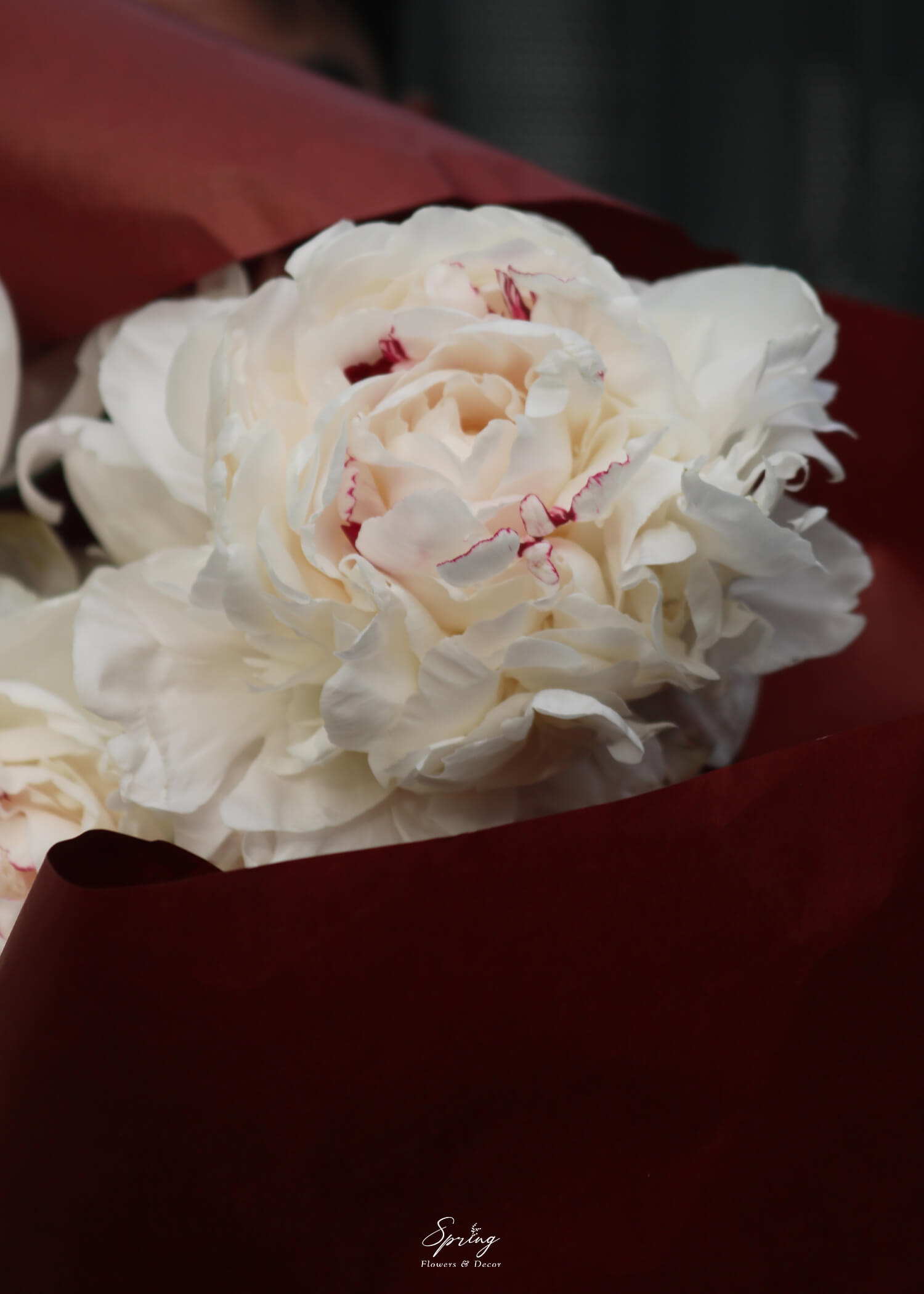 Bó hoa Peony BQ-0797 - Image 3
