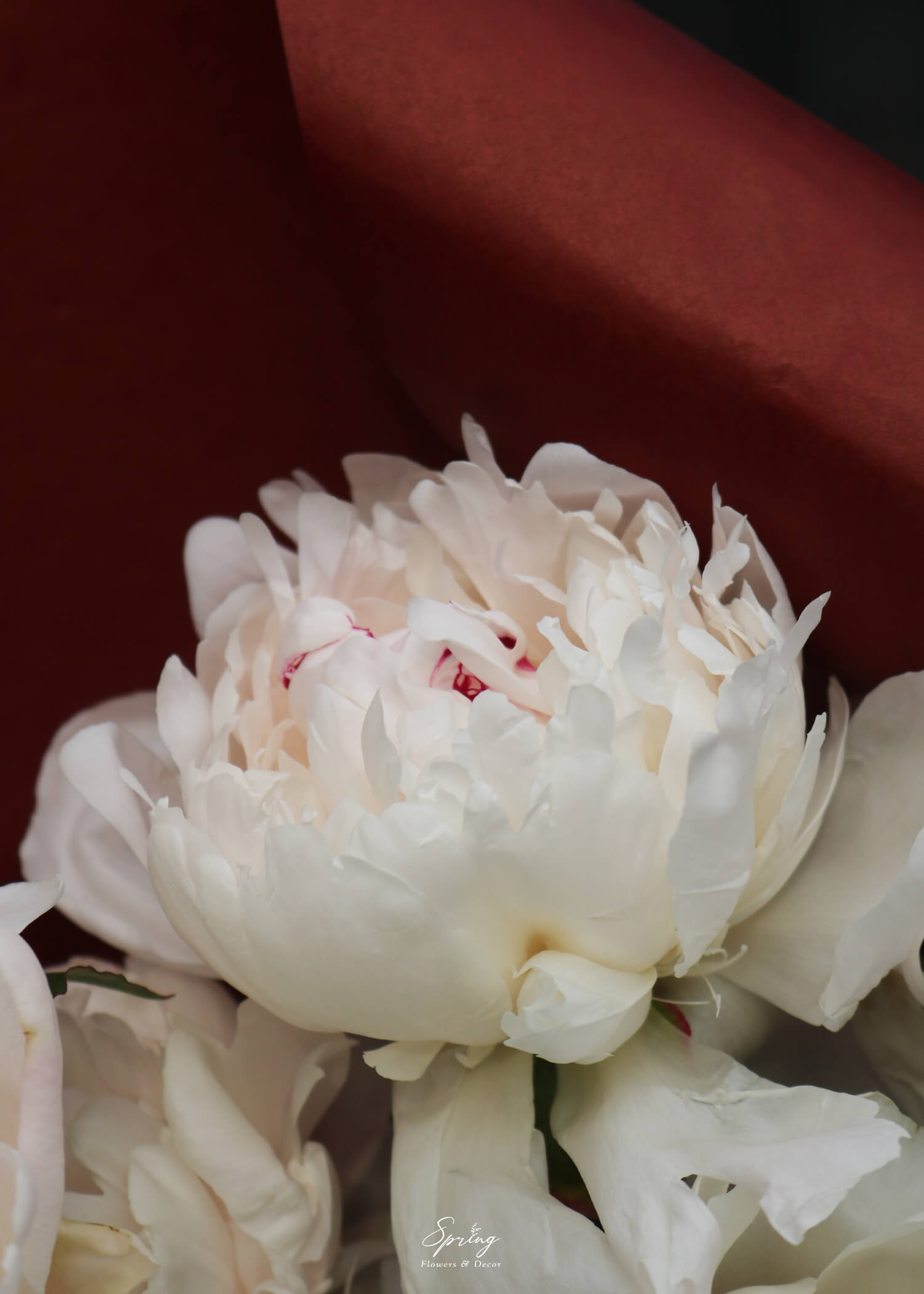 Bó hoa Peony BQ-0797 - Image 4