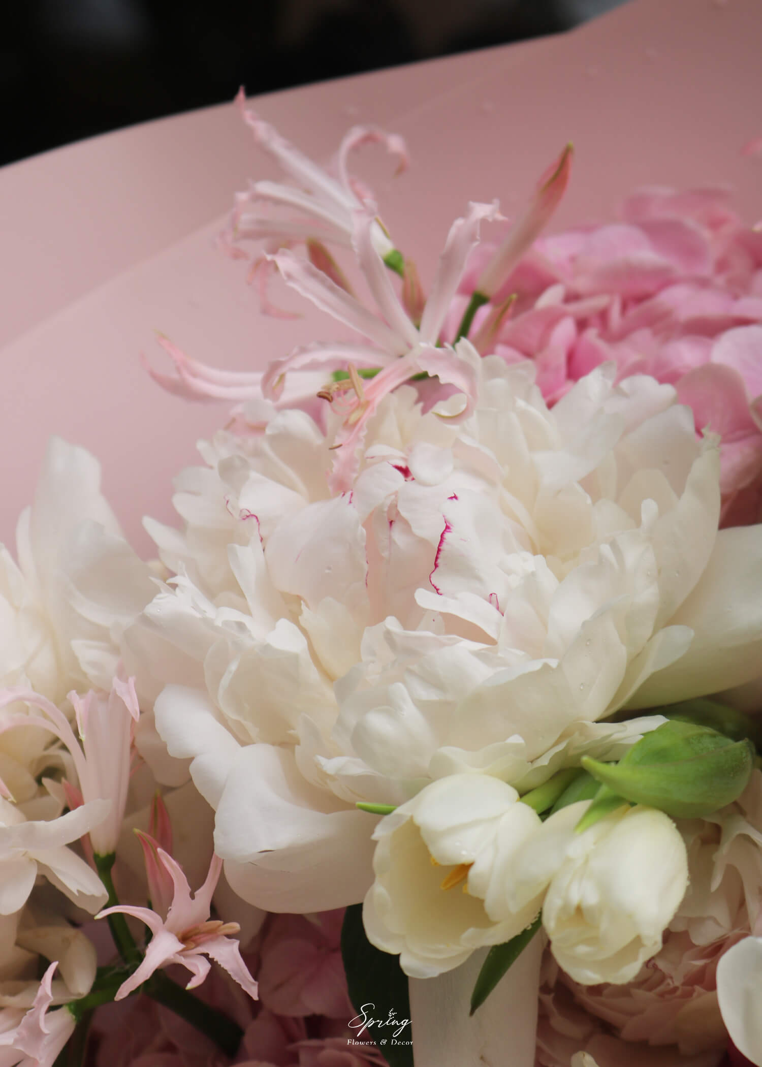 Bó hoa Peony BQ-0798 - Image 5