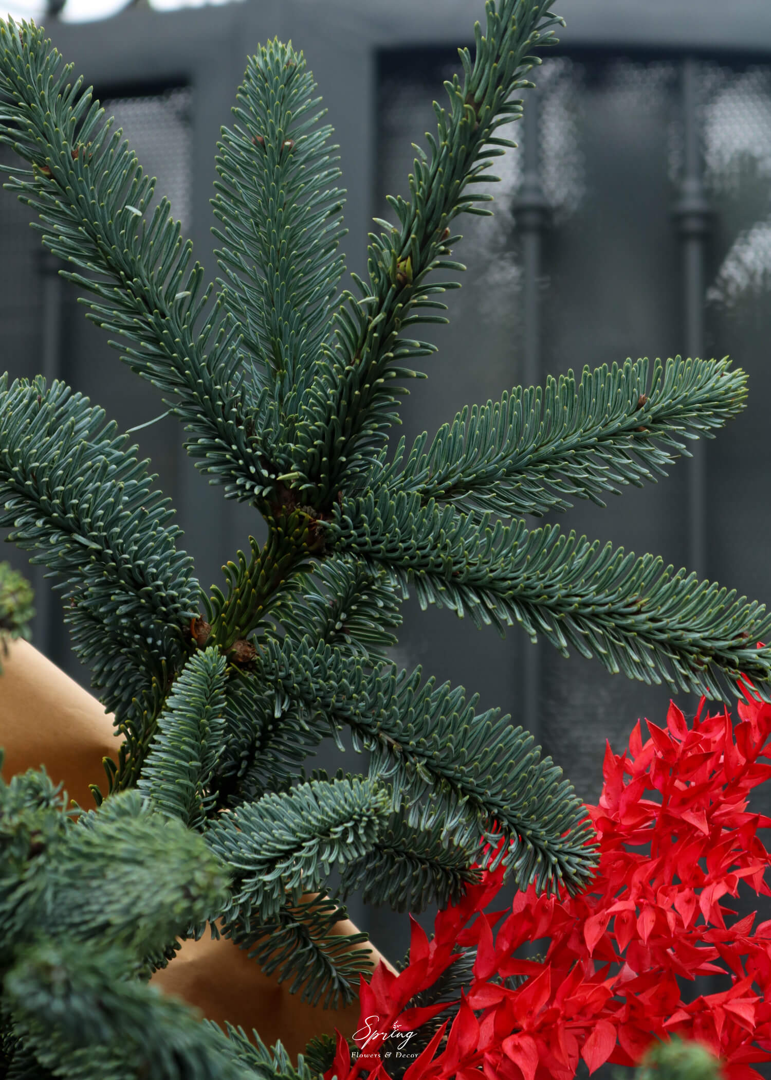 X-Mas Christmas Bouquet 0115 - Image 6