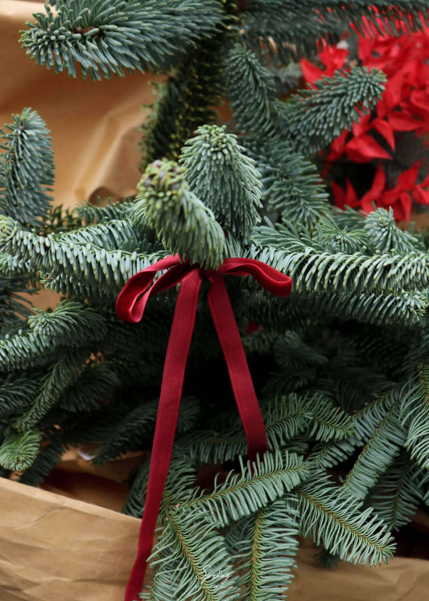 X-Mas Christmas Bouquet 0115 - Image 8