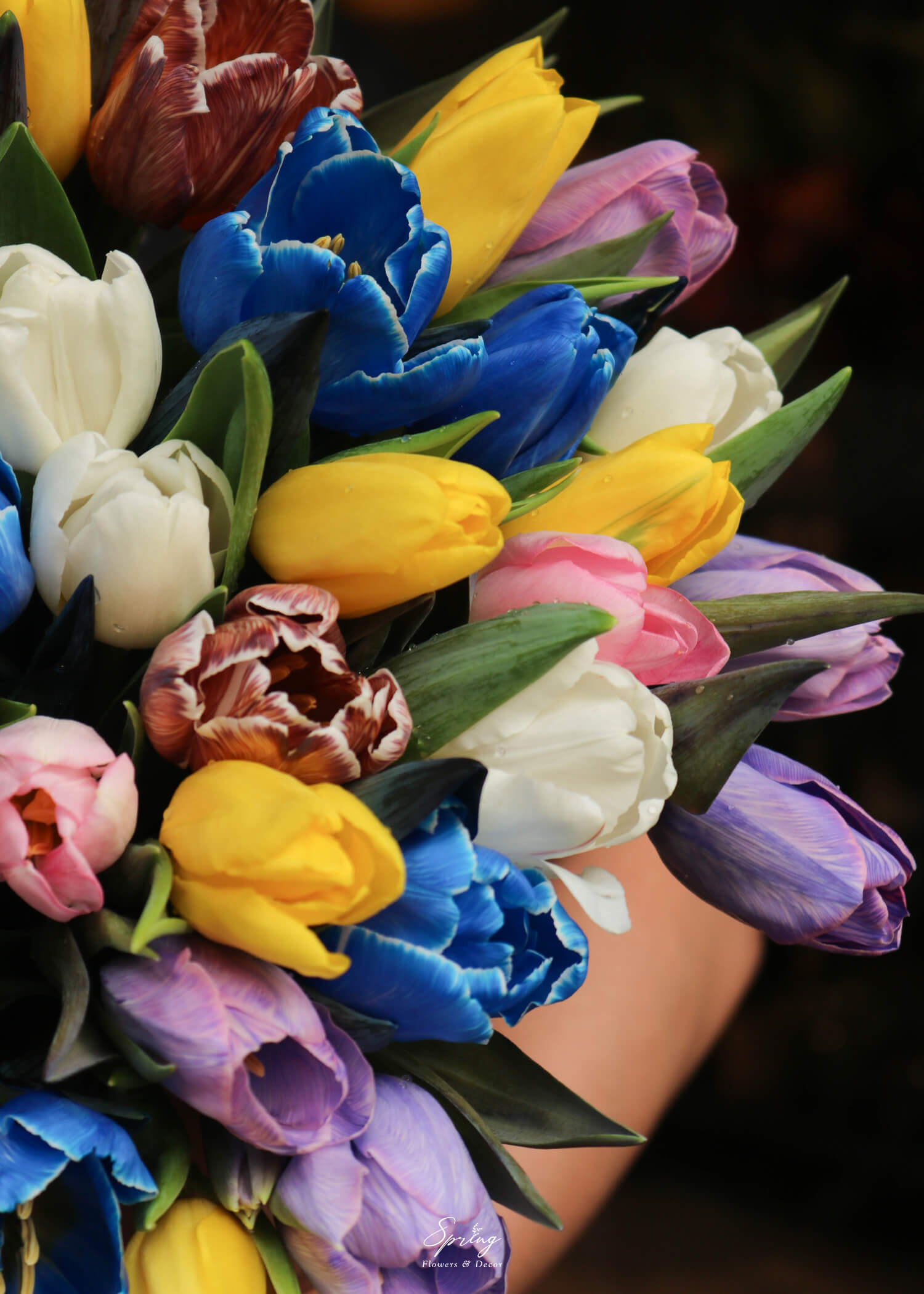 Giỏ hoa Tulip BS-0478 - Image 6