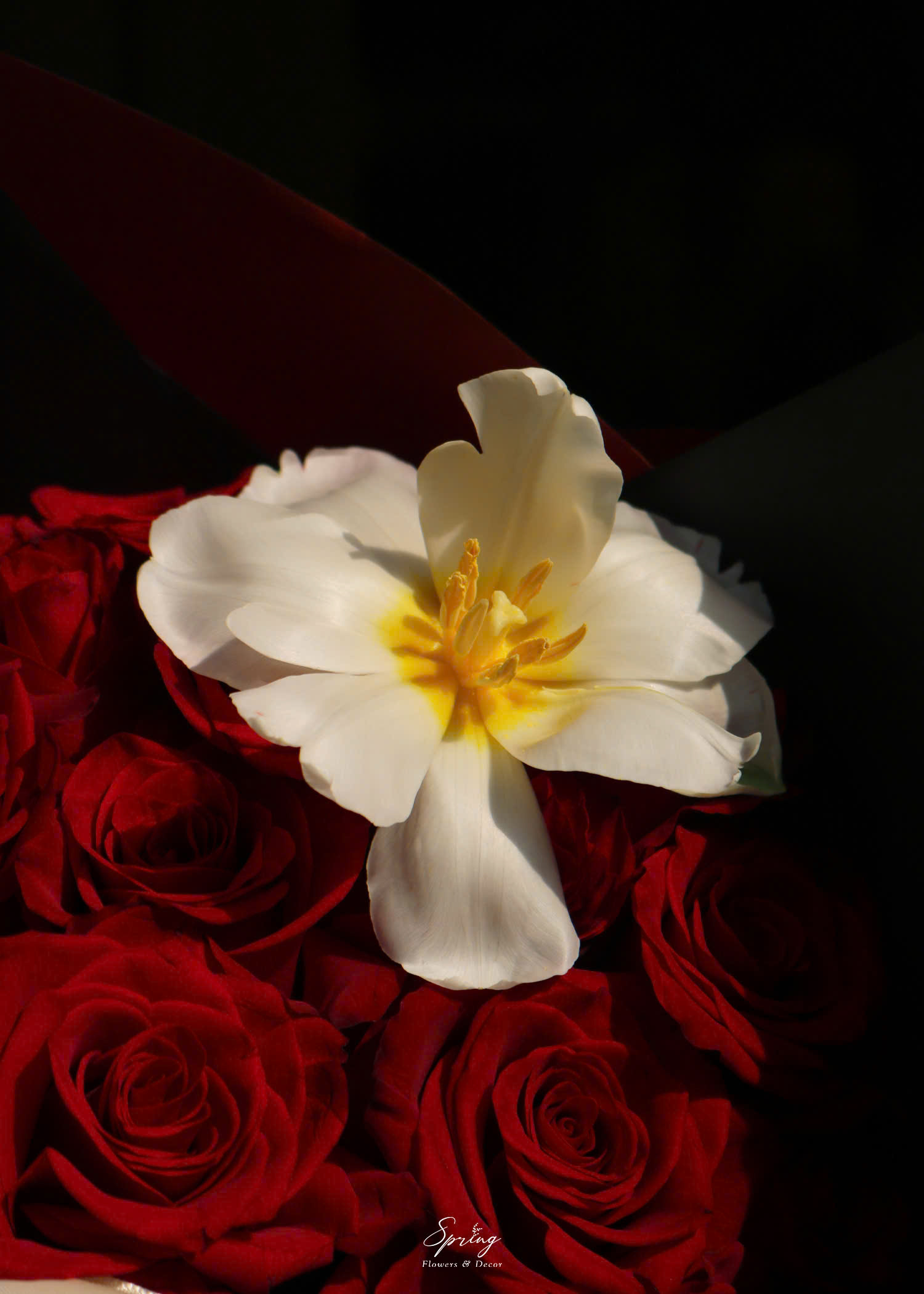 Bouquet BQ-0803 - Image 3