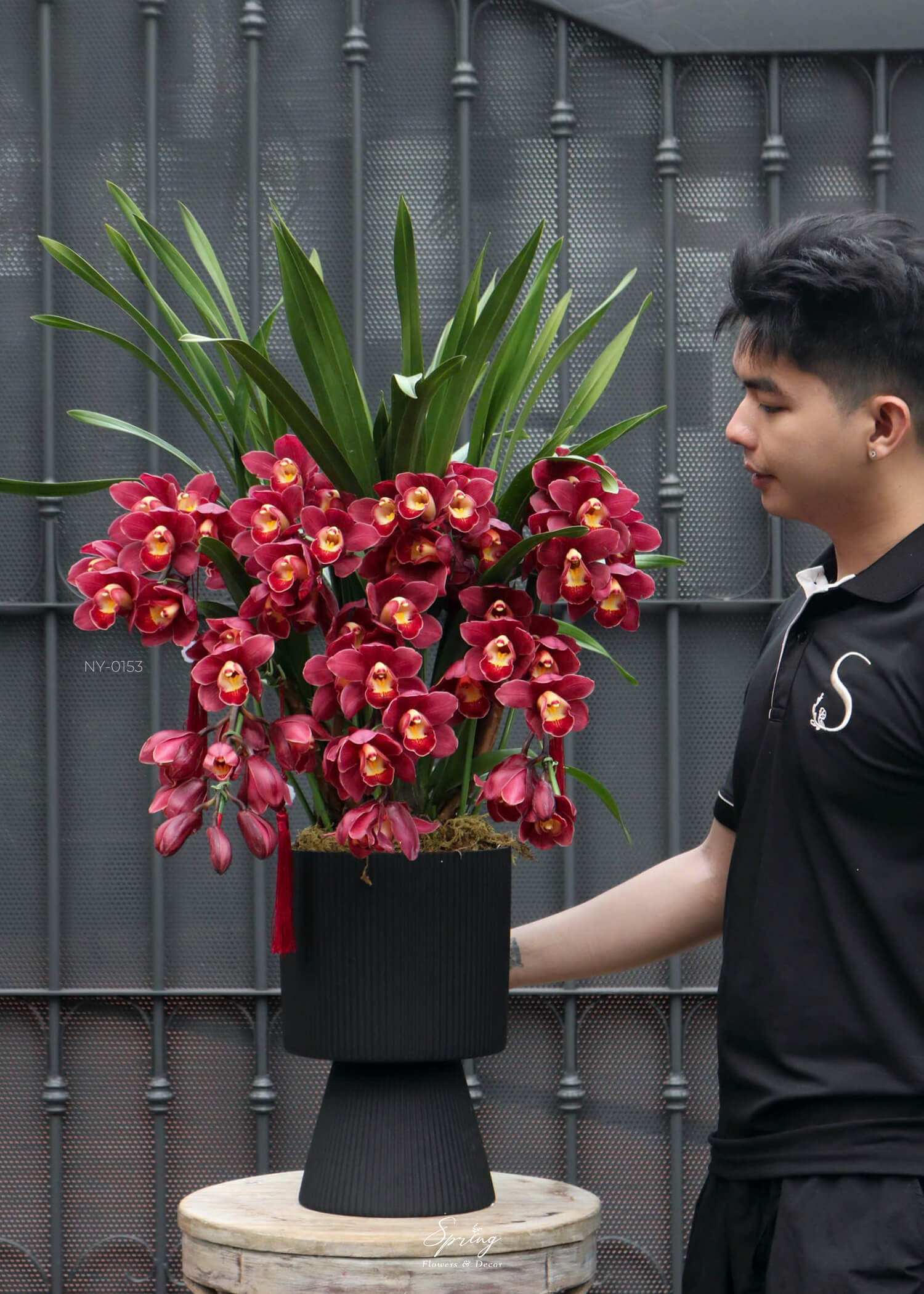 Orchid Design NY 0153 - Image 2