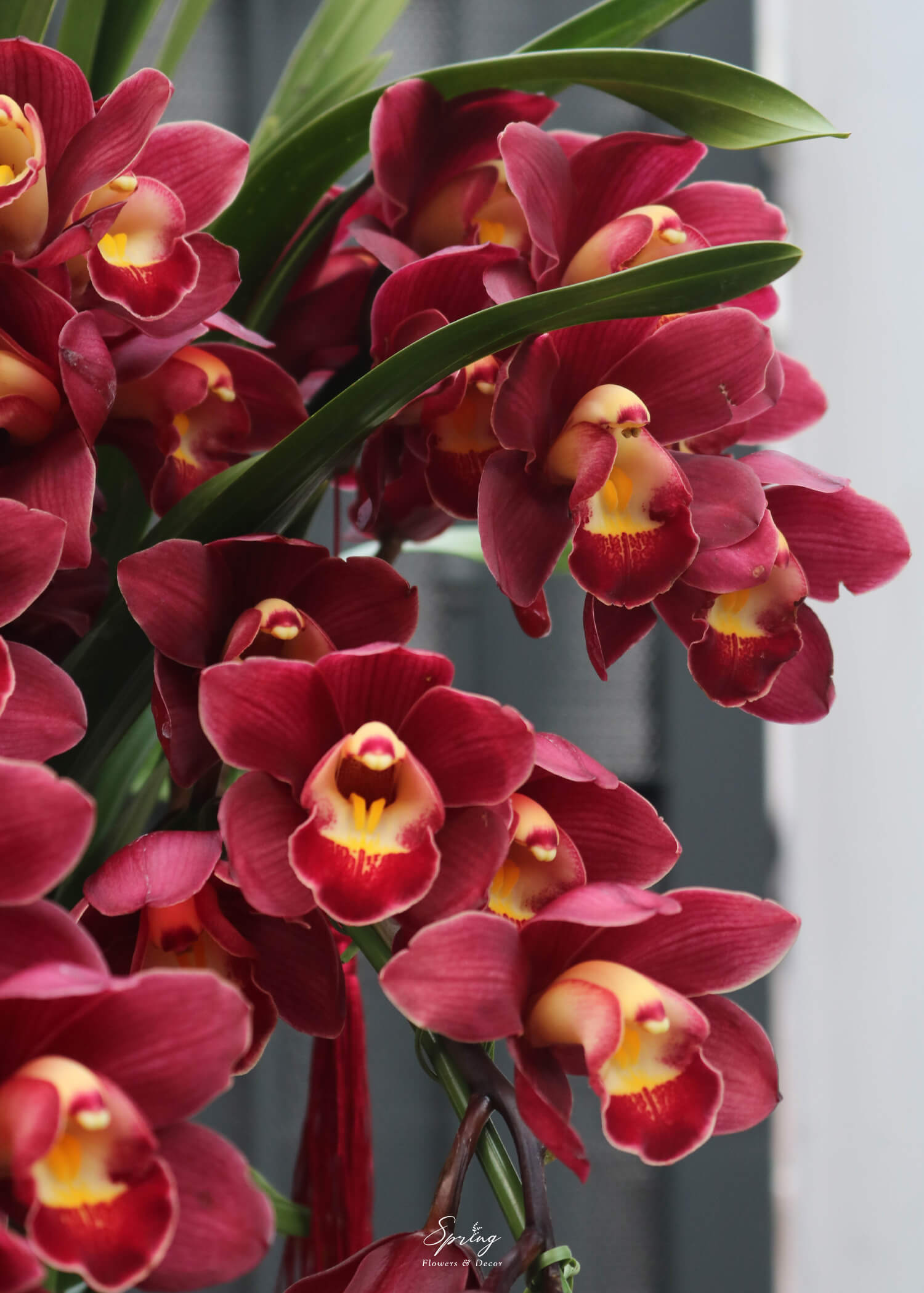 Orchid Design NY 0153 - Image 4
