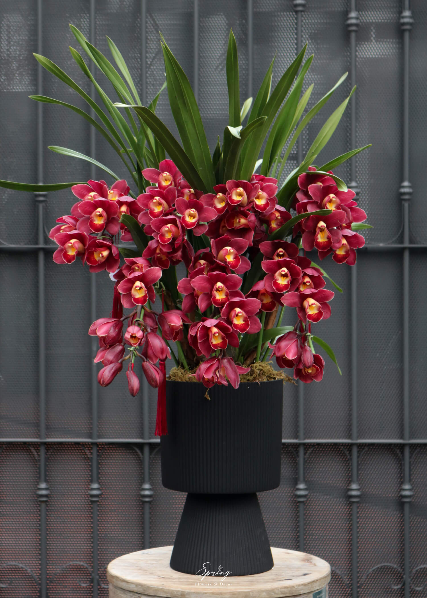 Orchid Design NY 0153