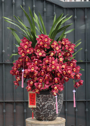 Orchid Design NY 0154