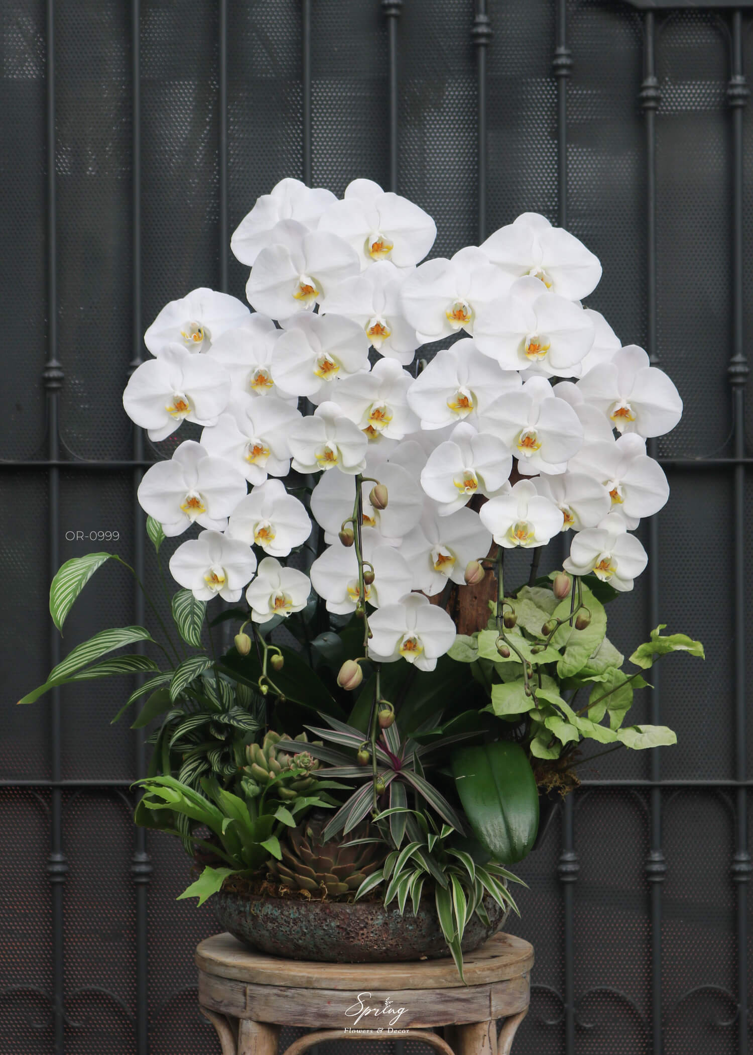 Orchid OR-0999