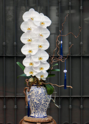 Orchid OR-1000