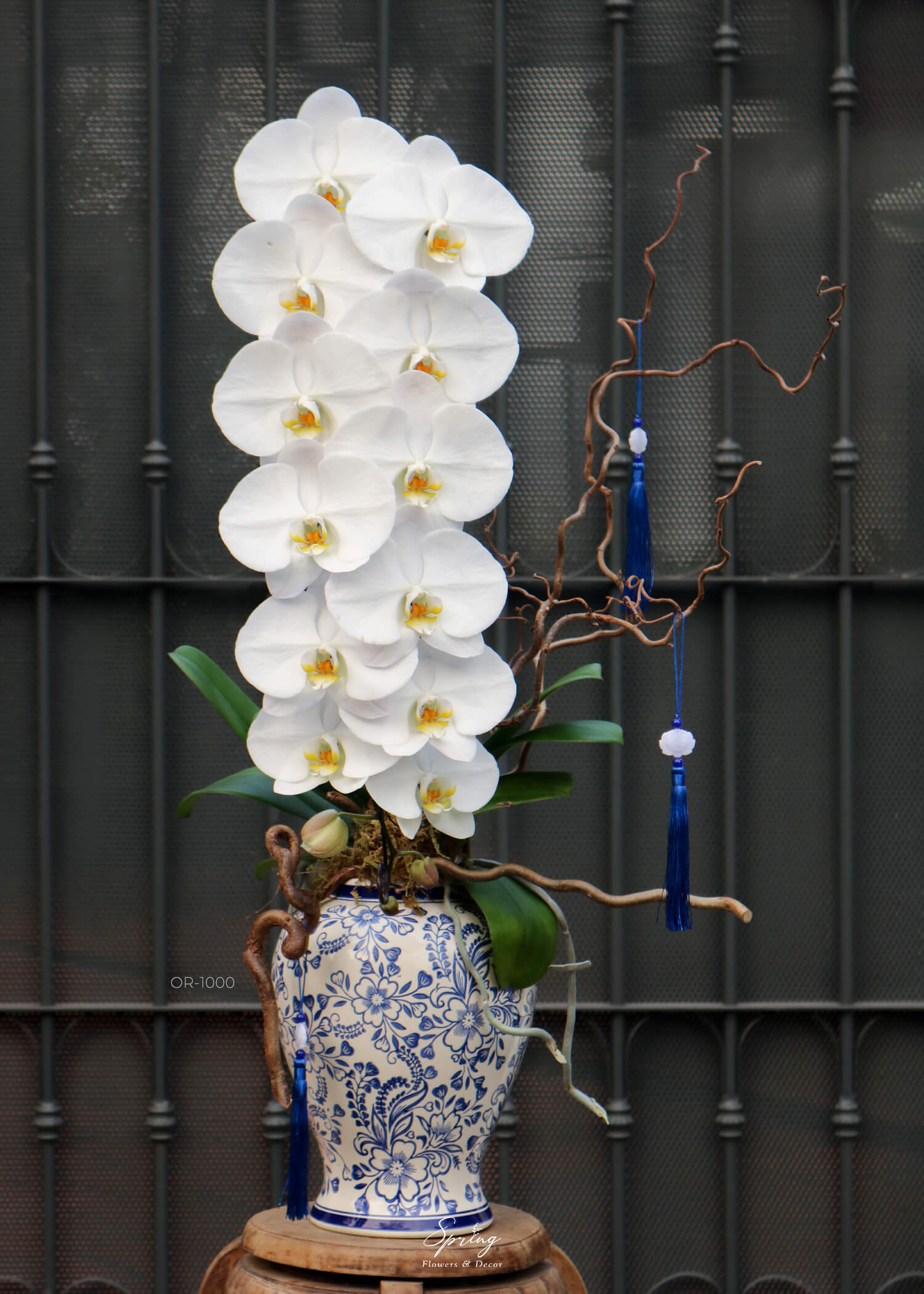 Orchid OR-1000