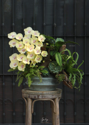 Orchid OR-1001