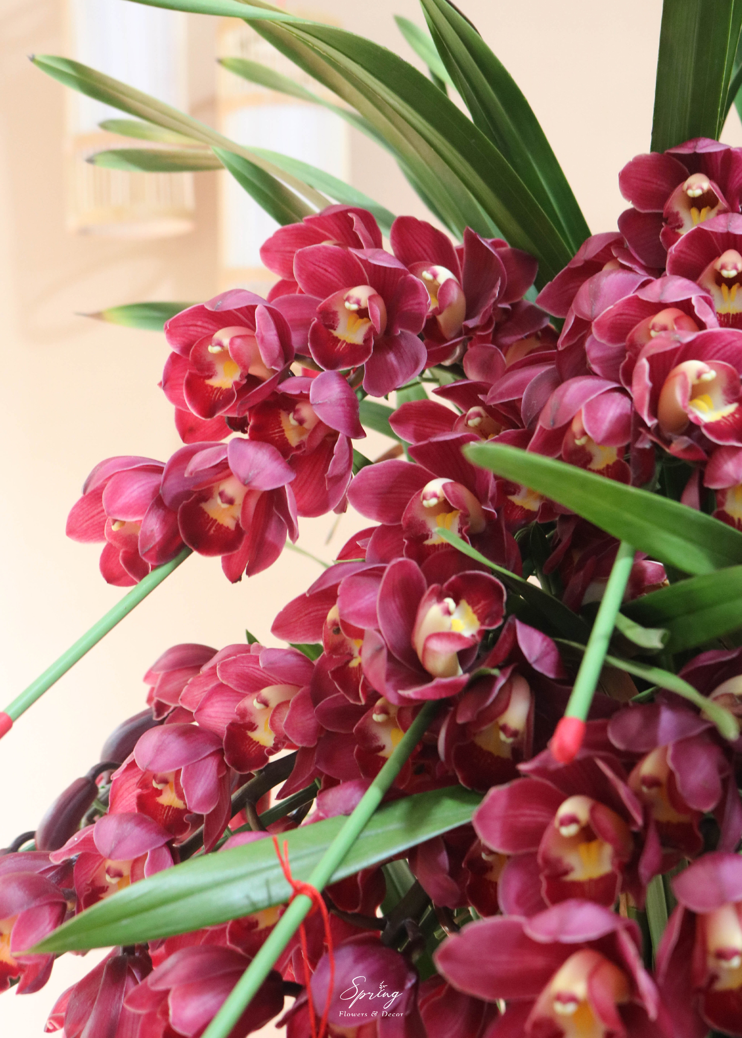 Orchid Design NY 0155 - Image 3