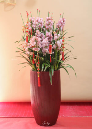 Orchid Design NY 0157