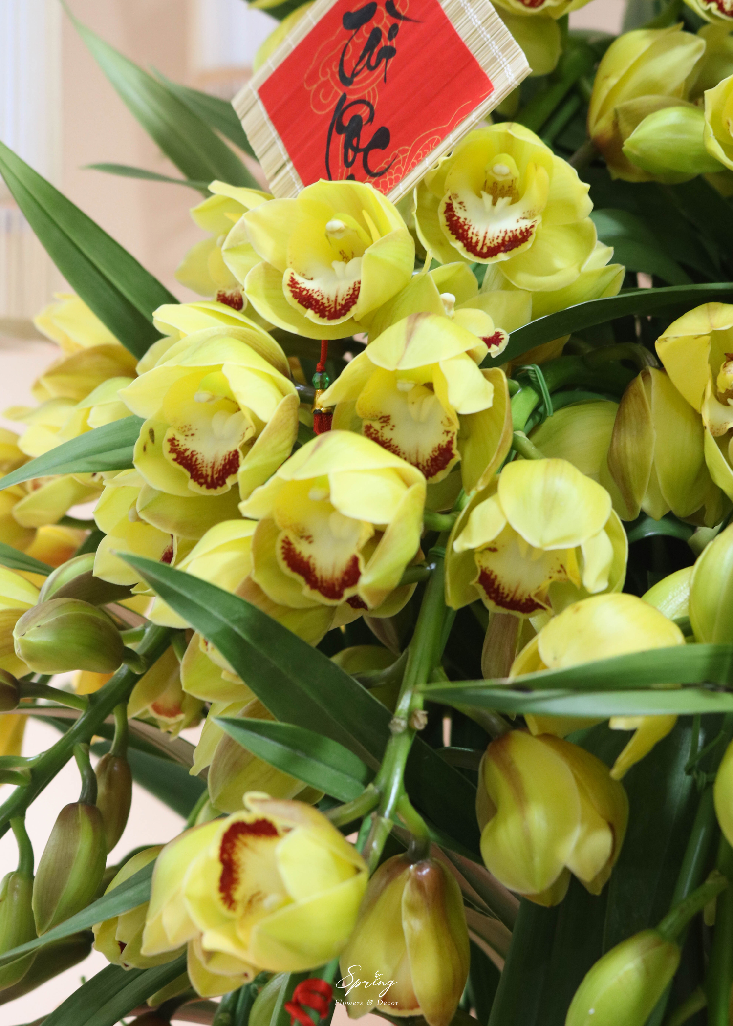 Orchid Design NY 0158 - Image 2