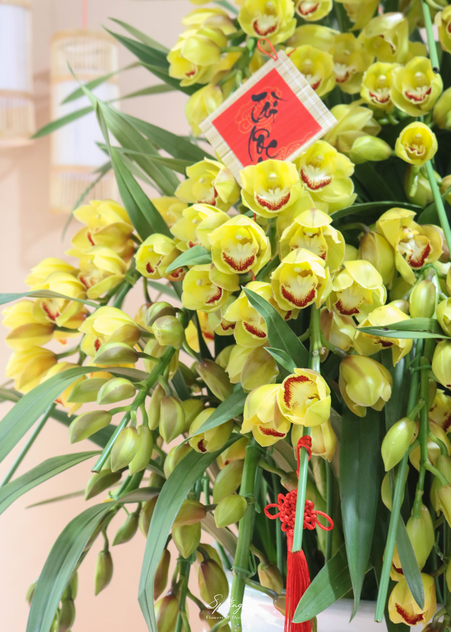 Orchid Design NY 0158 - Image 3